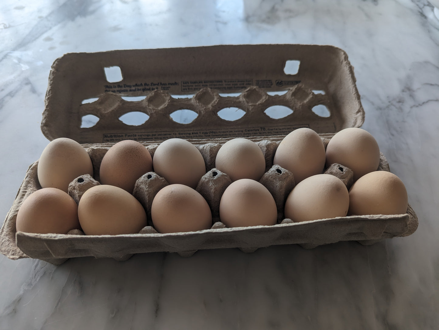 Farm Fresh Eggs - 1 dozen