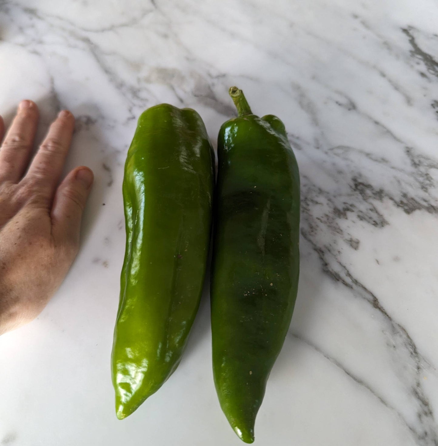 Mama Mia Giallo Peppers