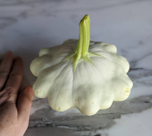 Paddypan Squash