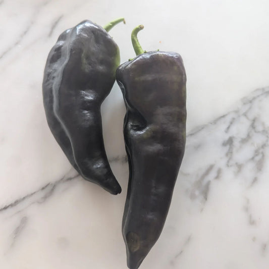 Purple Marconi Peppers