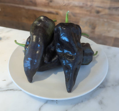 Purple Marconi Peppers